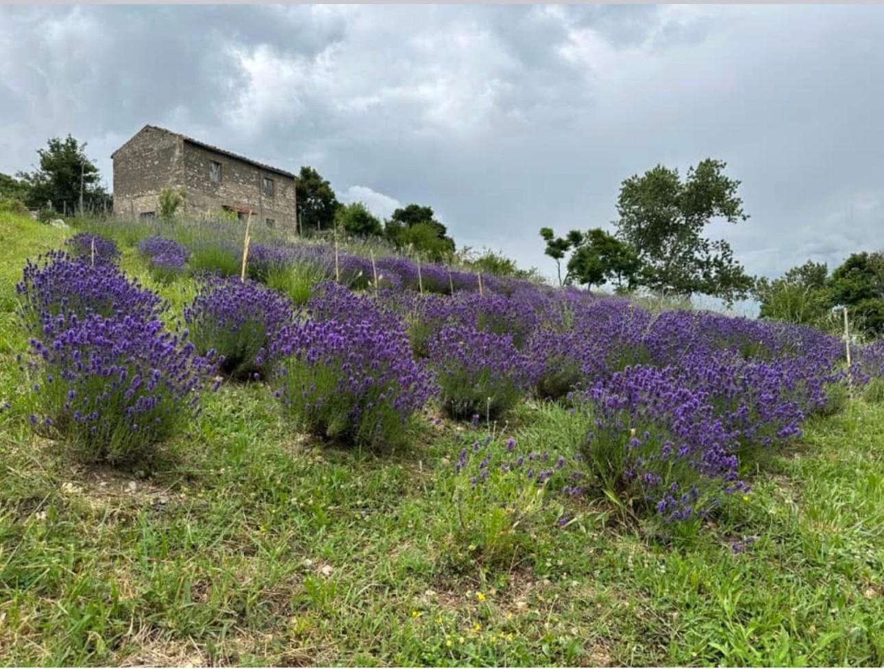 Civitella Roveto Mariella Vernile المظهر الخارجي الصورة